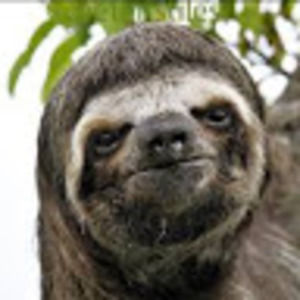 Meet your Posher, Jhonny